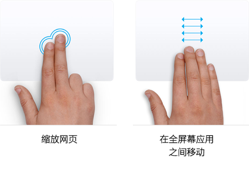 放大和缩小网页以及在全屏幕显示的应用之间移动的触控板手势示例。