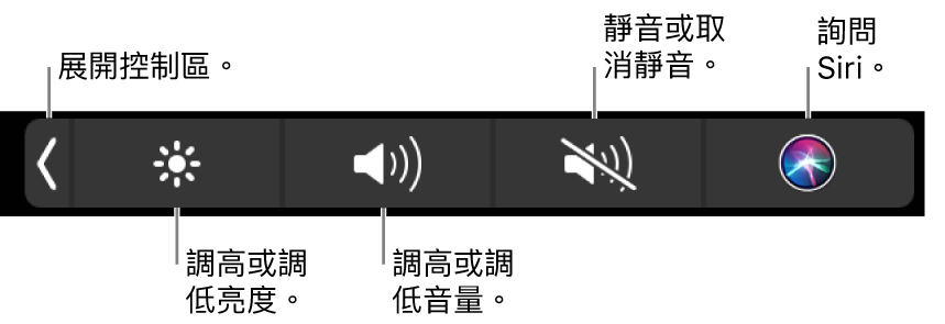 收合的「控制區」包括以下操作的按鈕：由左至右依序是展開「控制區」、增加或減少顯示器亮度和音量、靜音或取消靜音以及詢問 Siri。