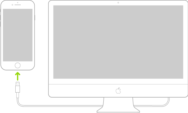 通过闪电转 USB 连接线将 iPhone 连接到 Mac 电脑。