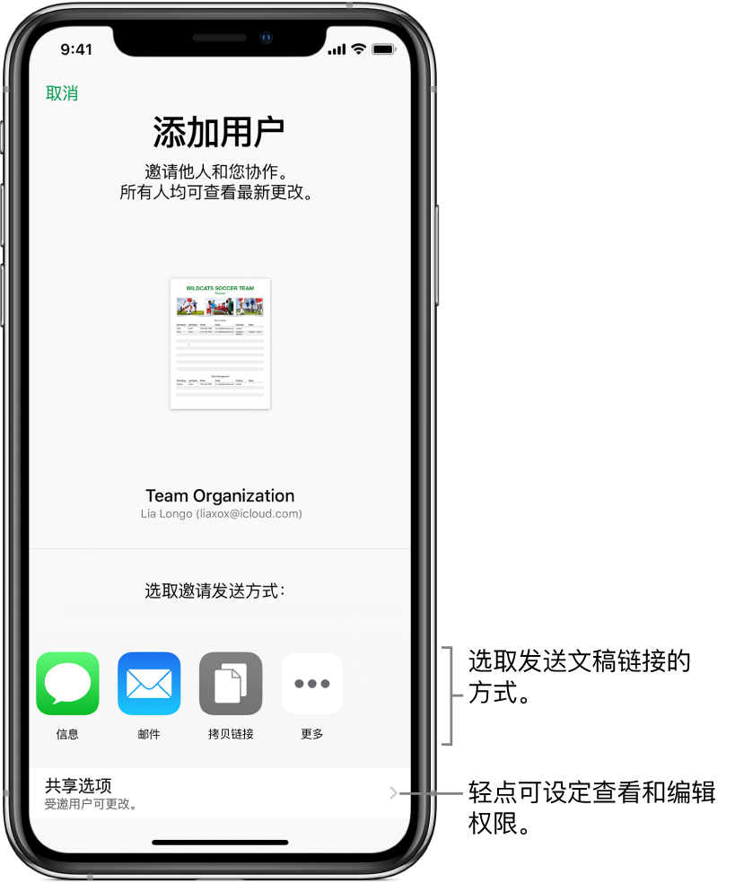 用于邀请用户查看和编辑您文件的屏幕。发送邀请的方式包括“信息”和“邮件”。“共享选项”显示在其下方。
