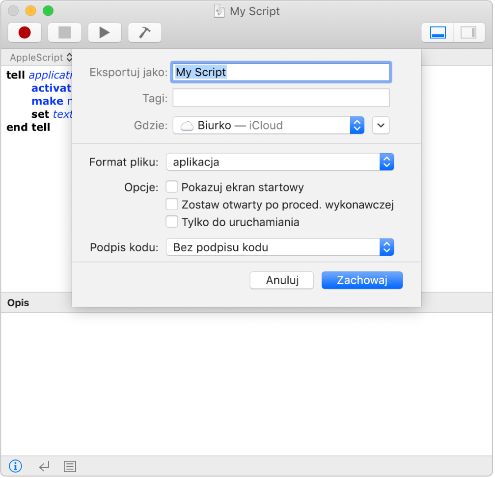 Okno dialogowe eksportowania z menu Format pliku, w którym zaznaczona jest Aplikacja oraz opcje, jakie można ustawić zachowując skrypt.