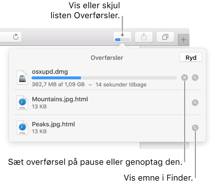 Knappen Overførsler på værktøjslinjen og derunder listen med overførsler.