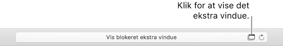 Det smarte søgefelt, der viser et symbol til højre for at tillade ekstra vinduer.