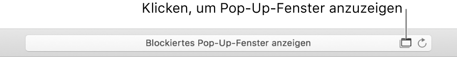 Intelligentes Suchfeld mit einem Symbol rechts, um Pop-Up-Fenster zu erlauben