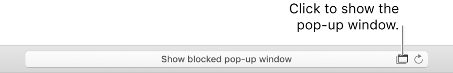 Smart Search field showing an icon on the right to allow pop-up windows.