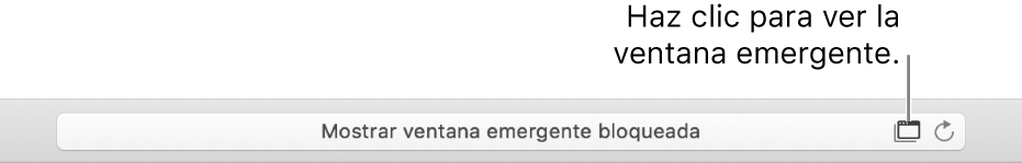 El campo de búsqueda inteligente mostrando un ícono a la derecha para permitir las ventanas emergentes.