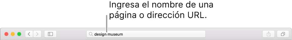El campo de búsqueda inteligente de Safari, en donde puedes ingresar el nombre de una página o un URL.