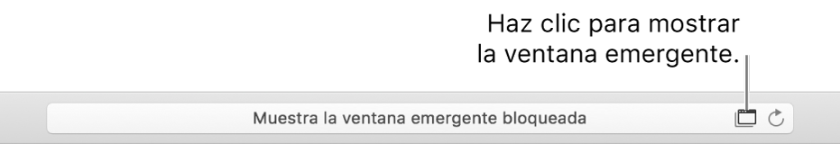 El campo de búsqueda inteligente con un icono a la derecha para permitir ventanas emergentes.