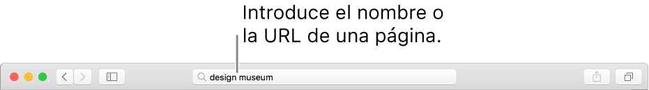 El campo de búsqueda inteligente de Safari, donde puedes escribir el nombre o la URL de una página.