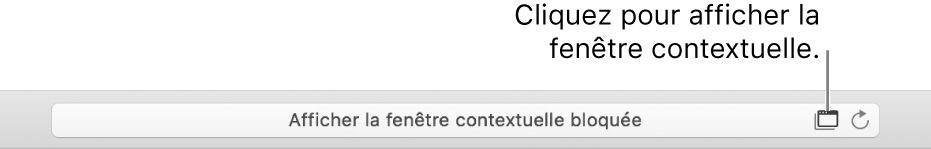Le champ Recherche intelligente affichant une icône à droite pour autoriser les fenêtres contextuelles.