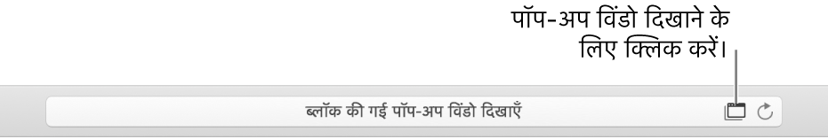 पॉप-अप विंडो की अनुमति के लिए दाईं ओर स्मार्ट सर्च फ़ील्ड दिखाने वाला एक आइकॉन।
