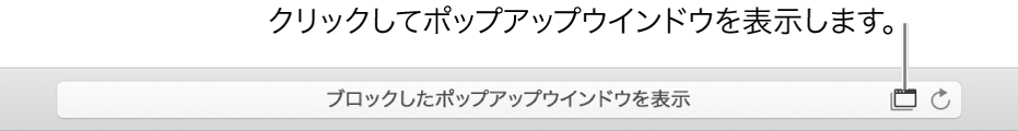右側にポップアップウインドウの表示を許可するアイコンが表示されたスマート検索フィールド