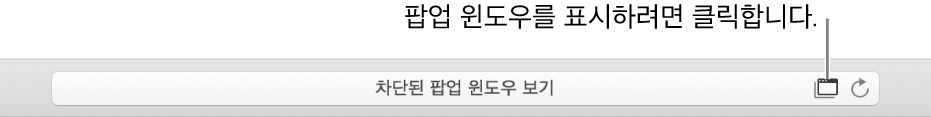 팝업 윈도우를 허용하는 아이콘이 오른쪽에 있는 스마트 검색 필드.