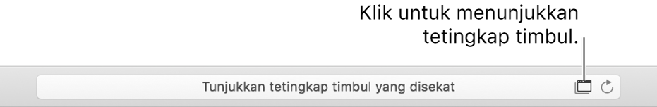 Medan Carian Pintar menunjukkan ikon di sebelah kanan untuk membenarkan tetingkap timbul.