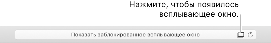 Поле смарт-поиска со значком для разрешения отображения всплывающих окон справа.