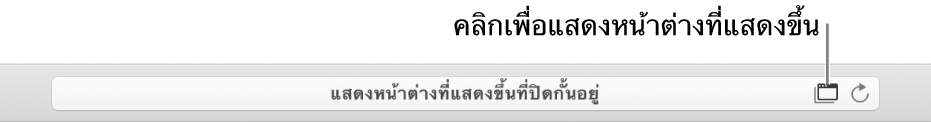 ช่องค้นหาอัจฉริยะแสดงไอคอนทางด้านขวาเพื่ออนุญาตหน้าต่างที่แสดงขึ้น