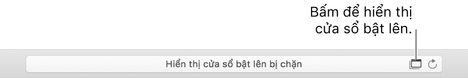 Trường Tìm kiếm thông minh đang hiển thị một biểu tượng ở bên phải để cho phép các cửa sổ bật lên.