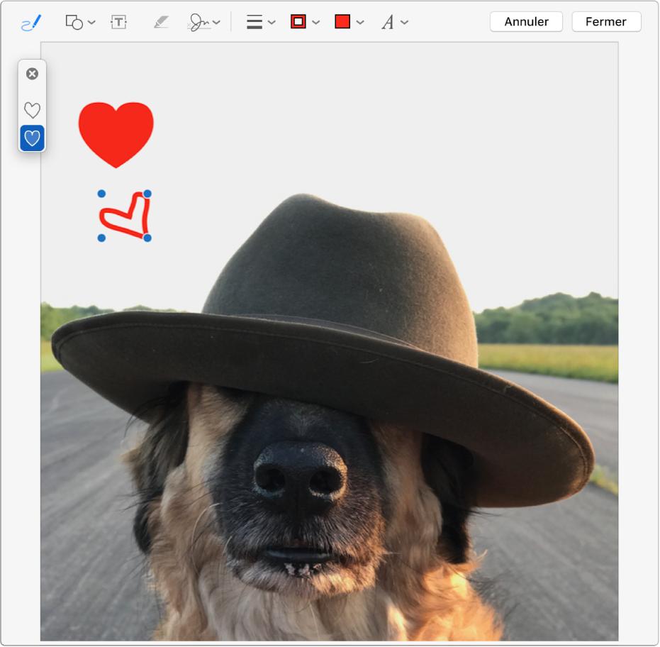 Dessiner un cœur sur une image à l’aide de l’outil d’annotation.