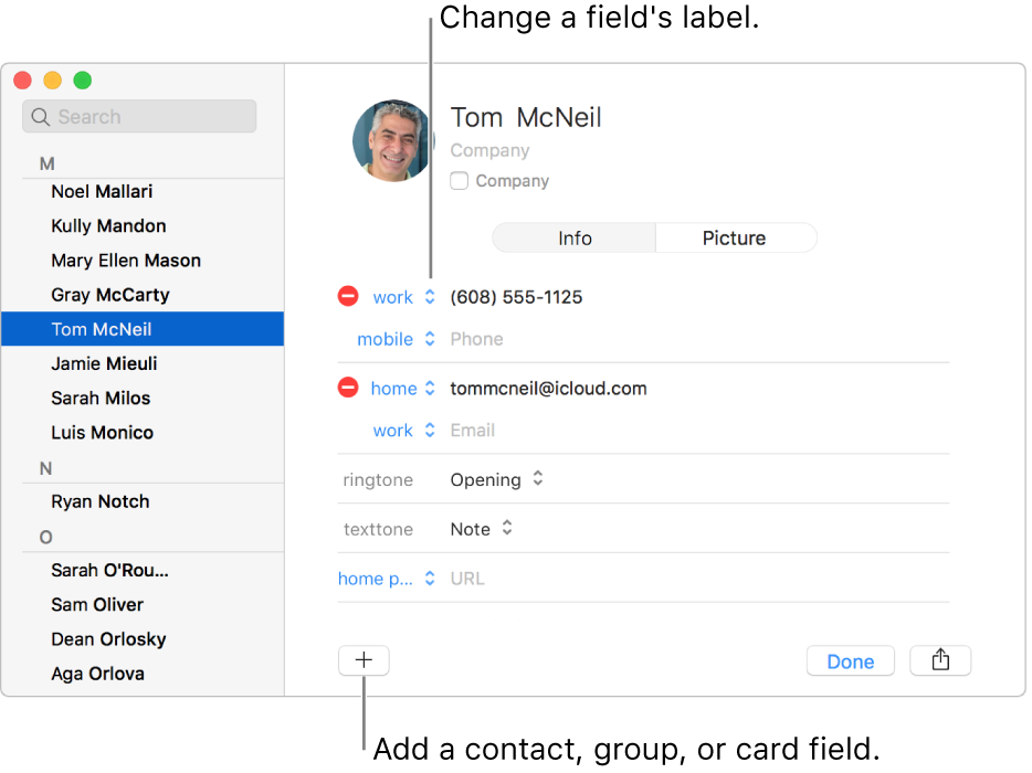 sort addresses by catagory in contacts for mac