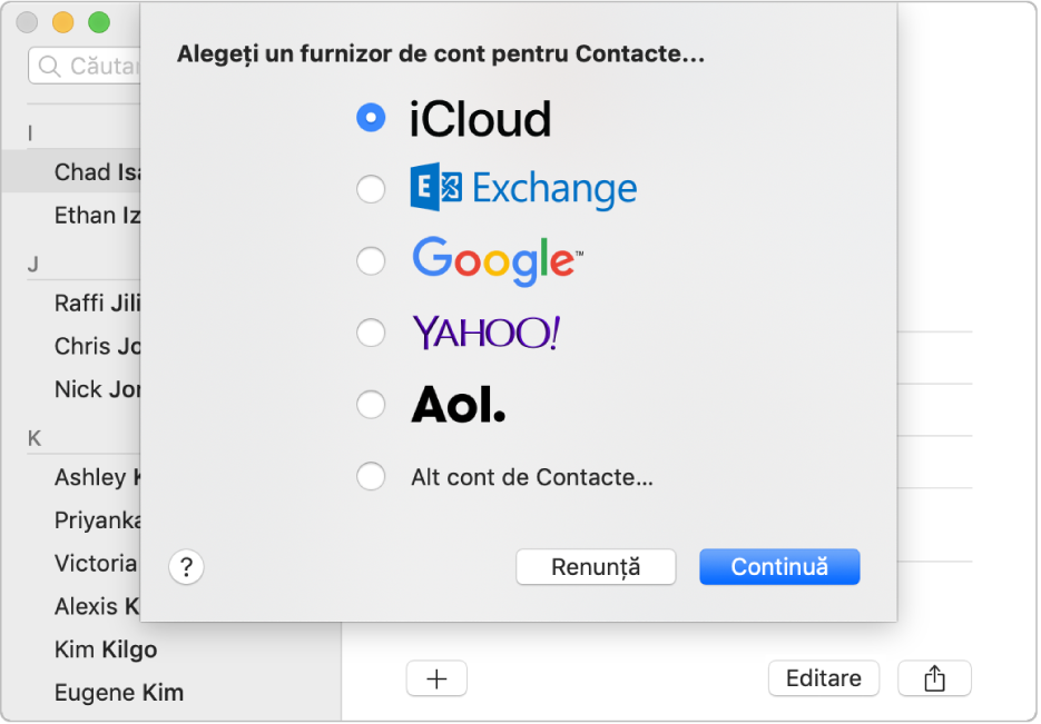 Fereastra pentru adăugarea conturilor de Internet în aplicația Contacte.