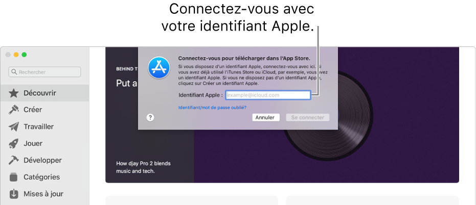 La zone de dialogue de connexion avec l’identifiant Apple dans l’App Store.