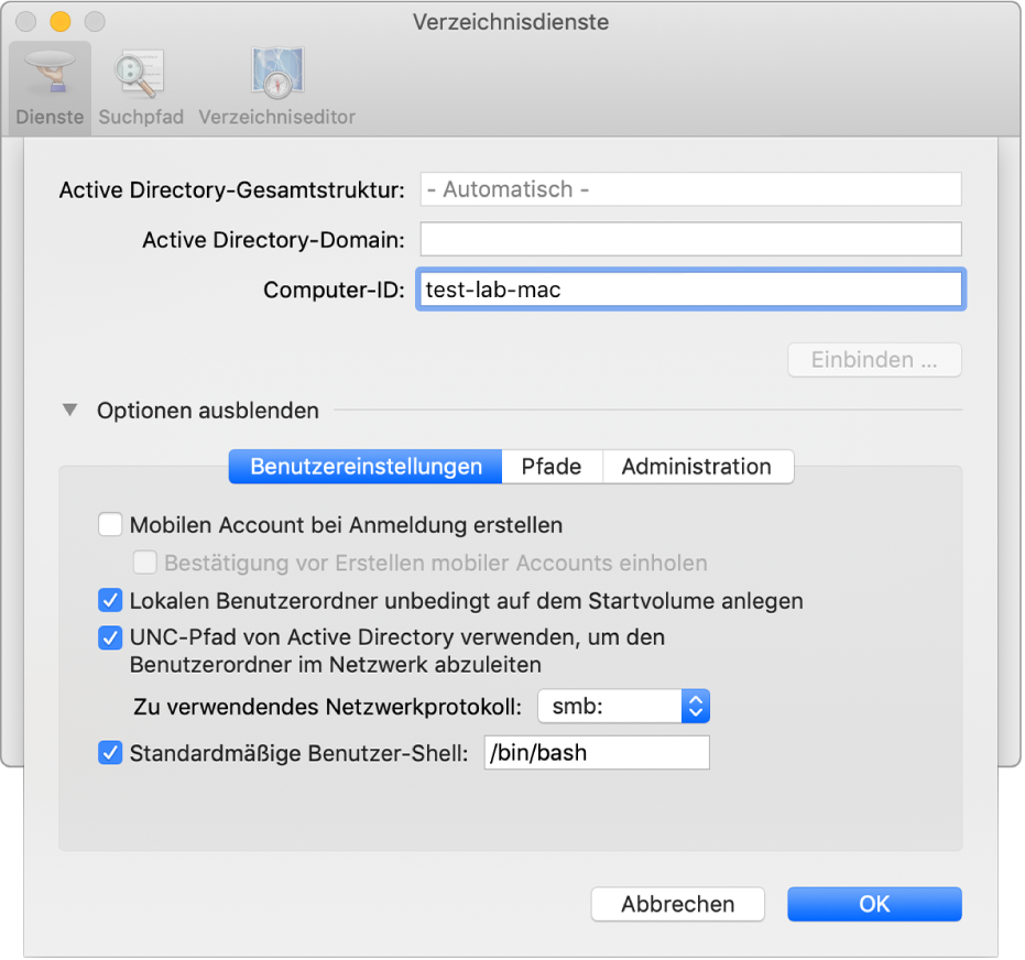 Das Konfigurationsfenster für Active Directory mit erweitertem Bereich für Optionen