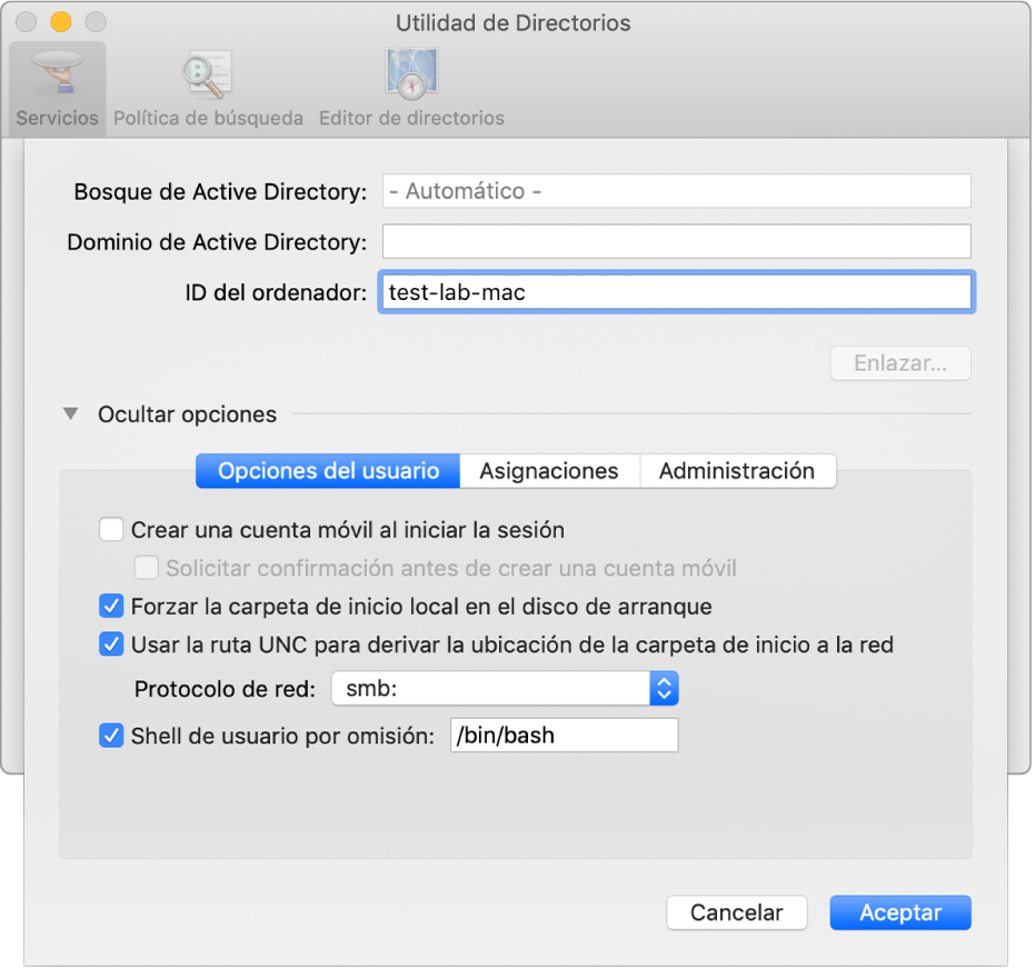 El cuadro de diálogo de configuración de Active Directory con la sección de opciones expandida.