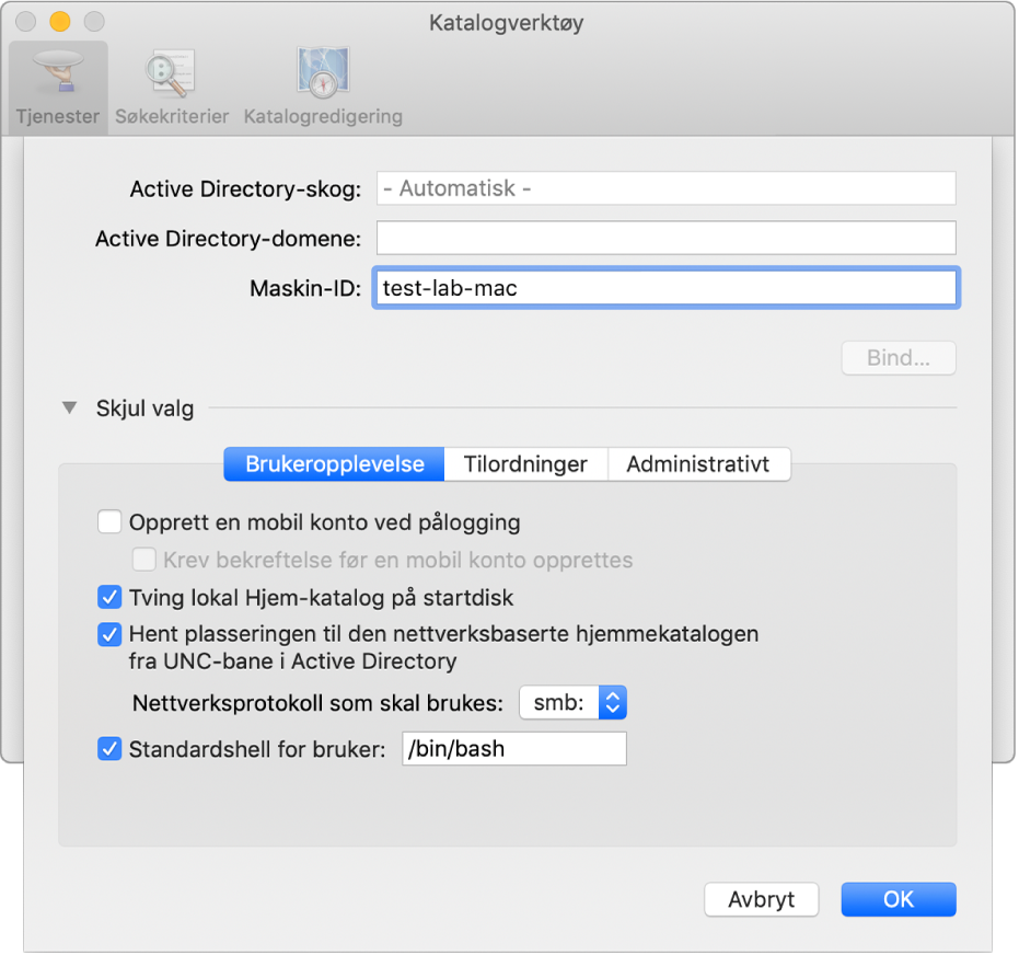 Dialogruten for konfigurering av Active Directory med valgdelen utvidet.