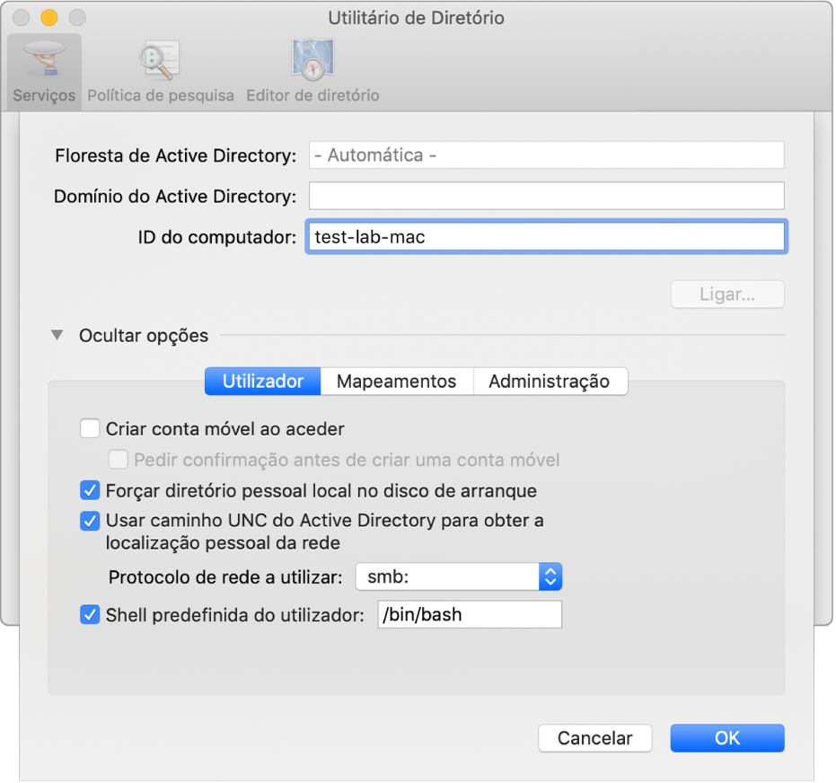 A caixa de diálogo de configuração do Active Directory com a secção de opções expandida.