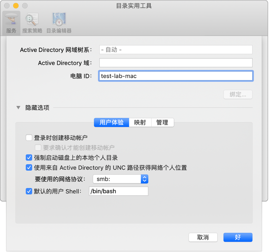 选项部分已展开的 Active Directory 配置对话框。