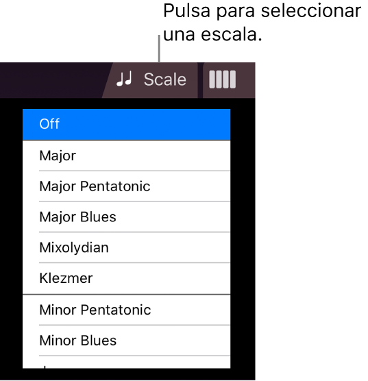Botón Escala de Cuerdas y lista de escalas