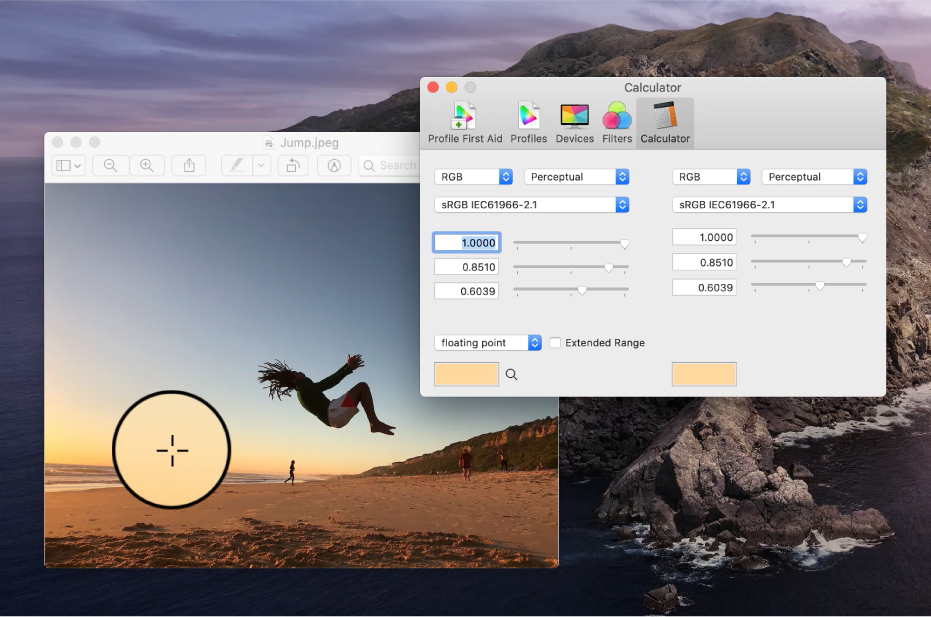 The Calculator pane showing the color values for a pixel in two different color profiles.