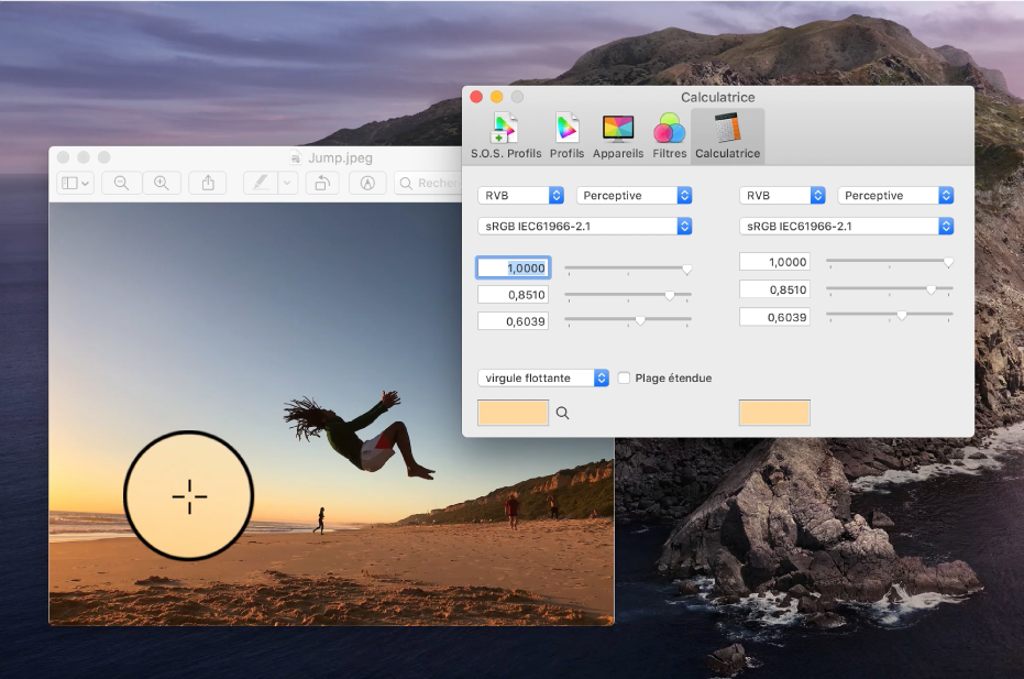 La sous-fenêtre Calculette, affichant les valeurs des couleurs d’un pixel dans deux profils de couleurs différents.