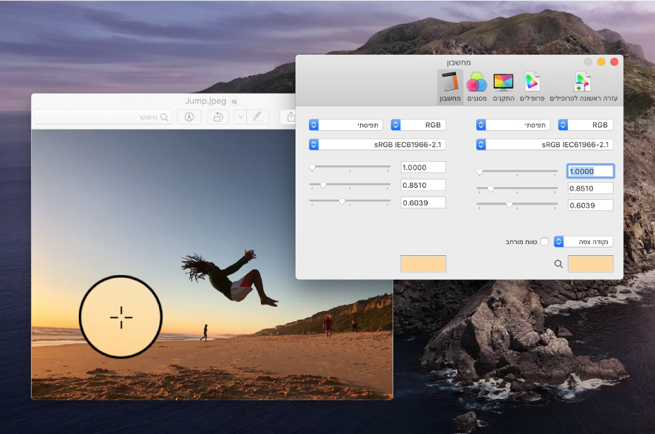החלונית ״מחשבון״ מציגה את ערכי הצבעים עבור פיקסל בשני פרופילי צבעים שונים.
