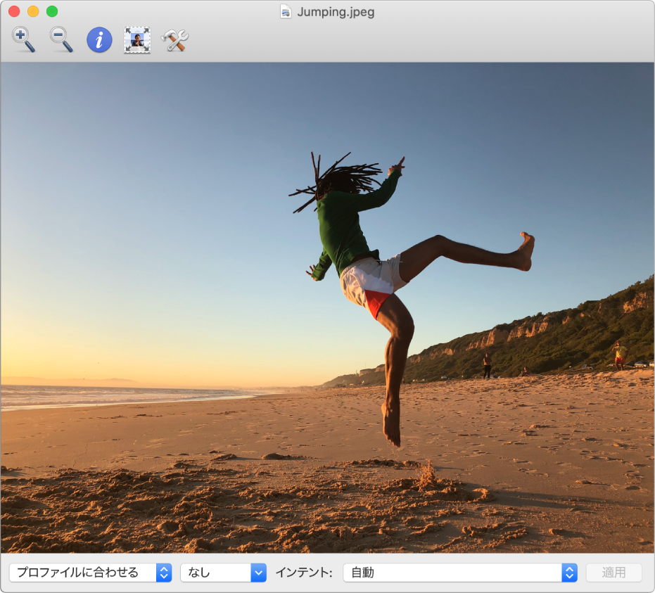 ColorSyncユーティリティウインドウ。ビーチでジャンプしている男性のイメージが表示されています。
