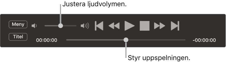 Reglagen för DVD-spelare, med volymreglage högst upp till vänster och uppspelningssymbolen längst ner. Dra uppspelningssymbolen för att hoppa till en punkt.