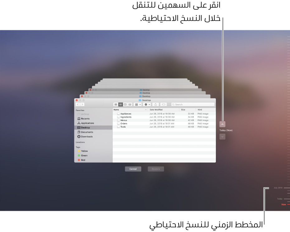 عند فتح Time Machine، سوف ترى شاشة ضبابية بها شاشات Finder متعددة مكدَّسة لتمثيل النُسخ الاحتياطية. انقر على الأسهم للتنقل عبر النسخ الاحتياطية الخاصة بك (أو انقر في المخطط الزمني للنسخ الاحتياطي على اليمين)، واختر الملفات التي تريد استردادها.