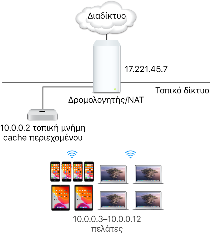 Ένας μεμονωμένος διακομιστής cache υποδικτύου.