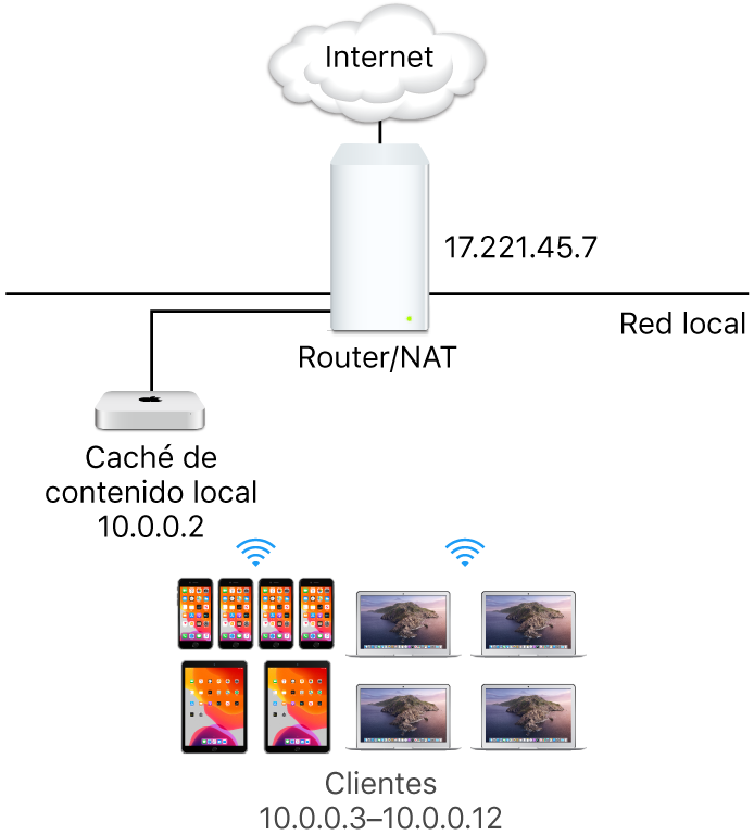 Un servidor de caché con una sola subred.