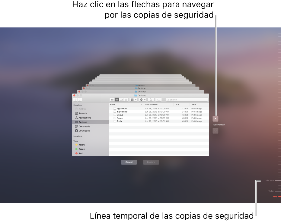 Al abrir Time Machine, aparece una pantalla borrosa con varias pantallas del Finder apiladas que representan las copias de seguridad. Haz clic en las flechas para desplazarte por las copias de seguridad (o haz clic en el control temporal de copias de seguridad de la derecha) y selecciona los archivos que quieres restaurar.