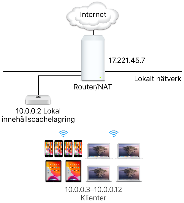 En enda innehållscache i ett delnät.