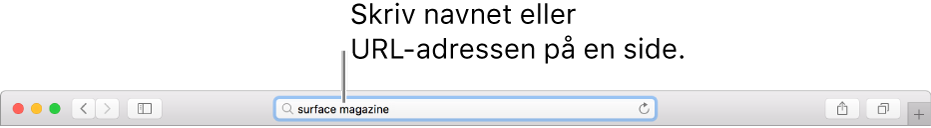 Det smarte søgefelt i Safari, hvor du kan skrive en sides navn eller URL-adresse.