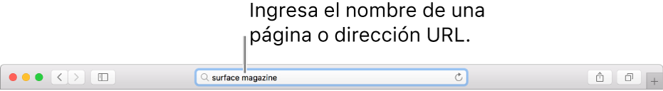 El campo de búsqueda inteligente de Safari, en donde puedes ingresar el nombre de una página o un URL.
