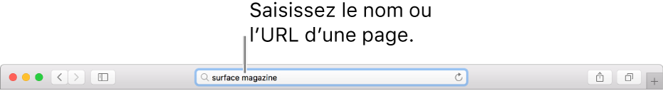 Le champ de recherche intelligente de Safari, dans lequel vous pouvez saisir le nom ou l’URL d’une page.