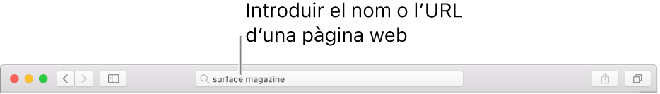 El camp de cerca intel·ligent del Safari, on pots introduir el nom o l’URL d’una pàgina.