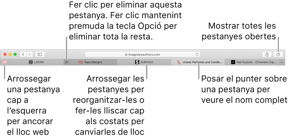 La finestra del Safari amb pestanyes.