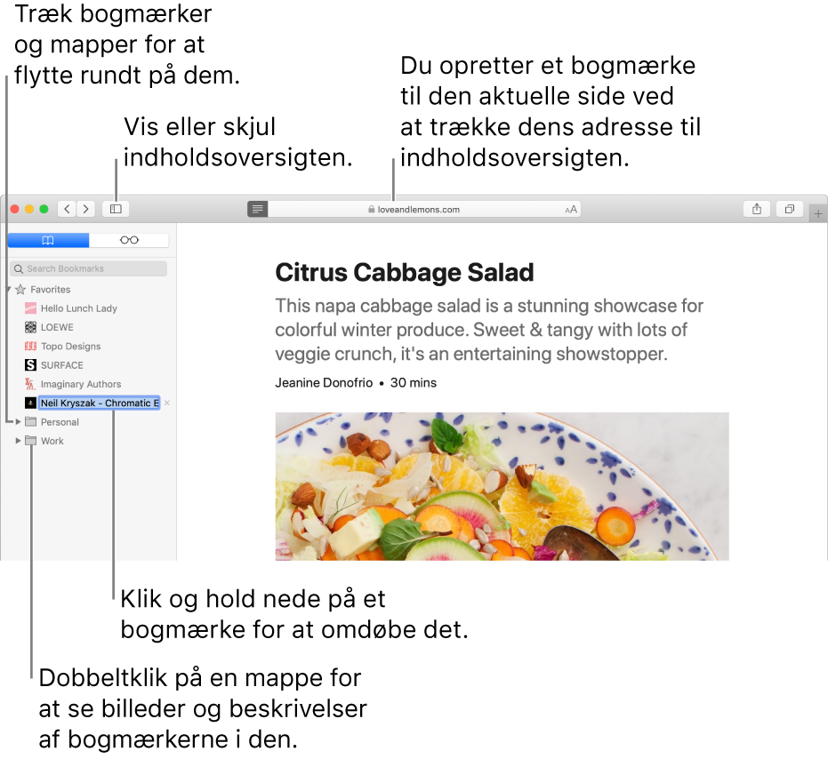 Et Safari-vindue, der viser bogmærker i indholdsoversigten, og et bogmærke, der er valgt til redigering.
