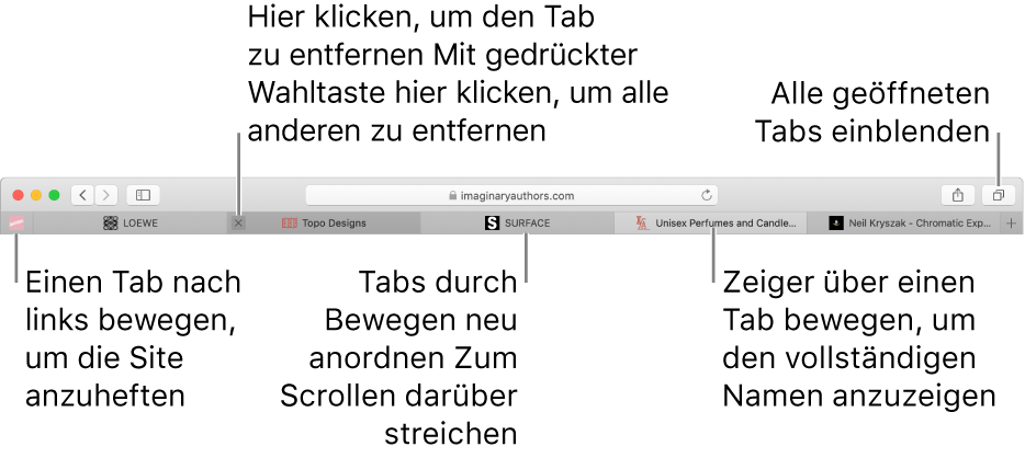 Ein Safari-Fenster mit Tabs.