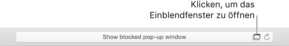 Intelligentes Suchfeld mit einem Symbol rechts, um Pop-Up-Fenster zu erlauben