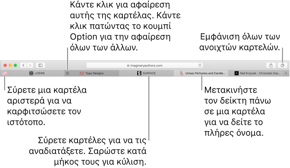 Το παράθυρο του Safari με καρτέλες.